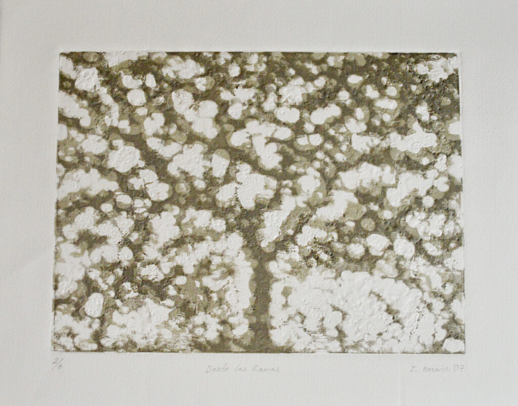 "Desde las ramas"  | Israel Nazario |  Grabado Impresión 30 x 40 cm Papel 43 x 53 cm