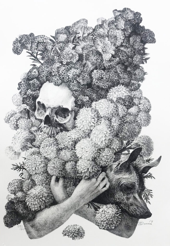 "Brazada"  |  Daniel Barraza   |  Litografía 38 x 56 cm