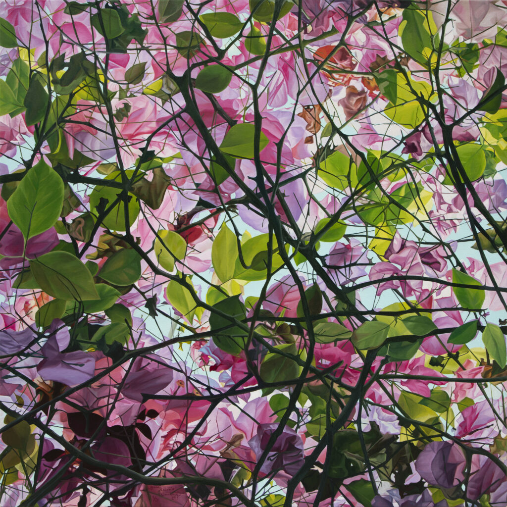 "Bugambilia en el cielo"   |   José Alberto Canseco  |   Óleo sobre tela  100 x 100 cm